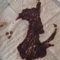 فال و طالع دقیق|خدمات پذیرایی، مراسم|یزد, |دیوار