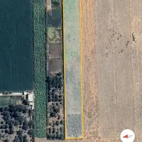 زمین کشاورزی