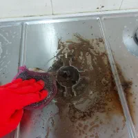 نظافت|خدمات نظافت|قم, بکایی|دیوار