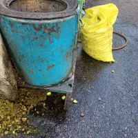دستگاه گردو سه اسب در حد نو