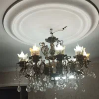 لوستر سالم م بزرگ