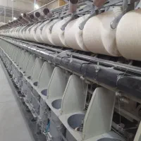 کارگر مرد اتباع برای دستگاه تابندگی ولکمن ۰۶