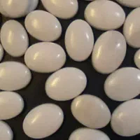 نگین حرم ائمه کربلا