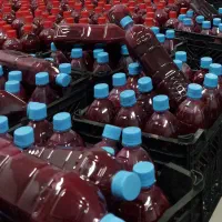 پخش عمده و خرد  آب انار طبیعی