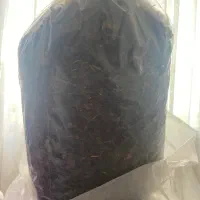 چای درجه یک دستی چین اول بهار