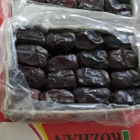 فروش تعدادی مادری خرما