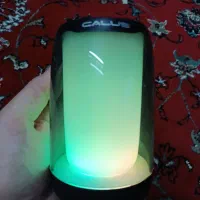 اسپیکر کالوس