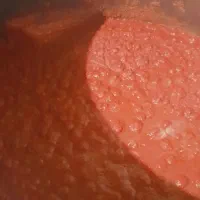 رب ارگانیک گرجه نیشابور