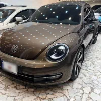 فولکس بیتل ۲۰۱۶ با فندر