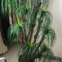 گل مصنوعی|گل مصنوعی|محمدشهر, محمدشهر|دیوار