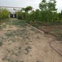 زمین باغ به متراژ ۱۰۰۰ متر واقع در نظر آباد|فروش دفتر صنعتی، کشاورزی، تجاری|نظرآباد, احمد آباد|دیوار