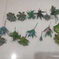 فروش چند عدد گل مصنوعی
