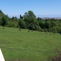 ویلا استخردار سه خواب اتاق مستر|اجارهٔ کوتاه‌مدت ویلا و باغ|آستارا, |دیوار