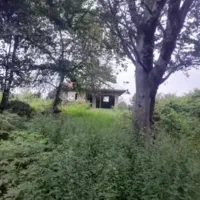 زمین-17000
