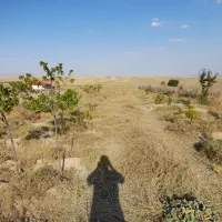 فروش زمین به متراژ ۴۰۰۰ متر مربع