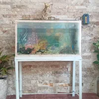 آکواریوم ۹۰سانت شیشه ۶ میل