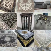 گالری فرش امیر|فرش|سنندج, |دیوار