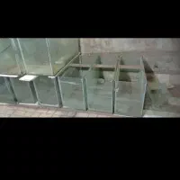 آکواریوم ۶ میل|ماهی|نیشابور, شهرک بهداری|دیوار