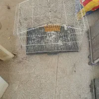 قفس پرنده|لوازم جانبی حیوانات|مشهد, شهید احمدی روشن|دیوار