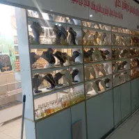 فروش وسایل مغازه یک جا به علت مهاجرت به شهر دیگر