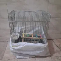 قفس پرنده مناسب انواع طوطی