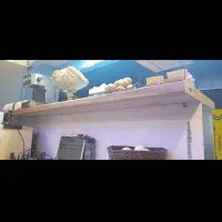 استخدام کارگر نیمه ماهر بوفه