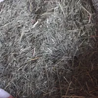 یونجه|لوازم جانبی حیوانات|جاپلق, |دیوار