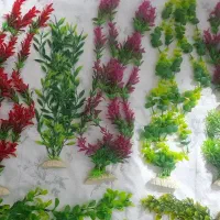 گیاه تزئینی آکواریوم