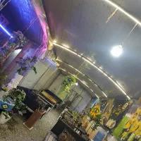نیرو برای چایخانه