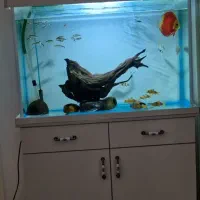 آکواریوم با میز یا پایه، مینیمال و شیک+ فیلتر سطلی