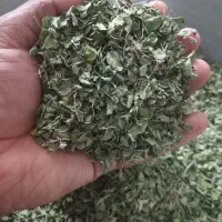 آویشن کوهی تازه و درجه یک