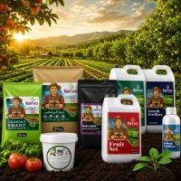 افزایش باردهی و کیفیت محصول