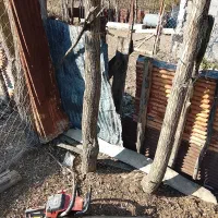 کاربا اره موتور