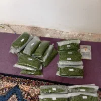 سبزی قورمه سرخ شده