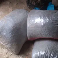 کشته گیلاس تمیز گوشتی