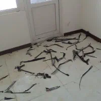 نظافتچی اقاجوان باحوصله هستم