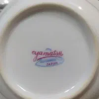 ظروف گل قرمزی