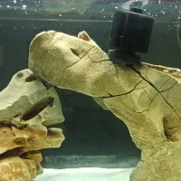 اکواریوم با وسایل