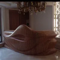 نقاش حرفه ای