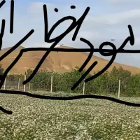 باغ ۱۰ ساله مثمر بر اتوبان تهران