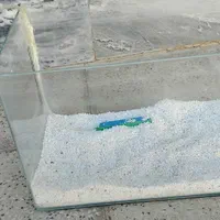 آکواریوم شیشه خم با لوازم|ماهی|بروجرد, |دیوار