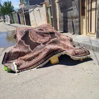 قالیشویی|خدمات نظافت|اردبیل, |دیوار