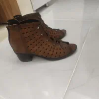 کفش مجلسی|کیف، کفش، کمربند|گلبهار, شهر جدید گلبهار|دیوار