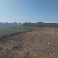 زمین زارعی ایلخچی روستای مهدینلو|فروش زمین و ملک کلنگی|ایلخچی, |دیوار