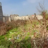 فروش زمین مسکونی ۶۰۰متری با بنای قدیمی|فروش زمین و ملک کلنگی|آستانه اشرفیه, |دیوار