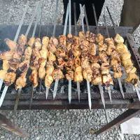 تور شاد شمال حرکت 6مرداد