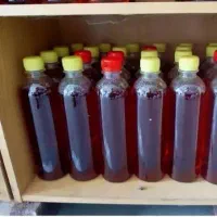 سرکه چوب کود و قارچکش و نماتد کش|خدمات باغبانی و درختکاری|فسا, |دیوار