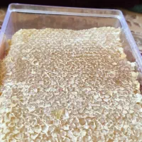 عسل کوهستانی ییلاقات دره بنار مرگور|خوردنی و آشامیدنی|سیلوانه, |دیوار