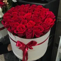 باکس گل رز هلندی دسته گل طبیعی شوک قیمت باورنکردنی|گل و گیاه طبیعی|مشهد, آزادشهر|دیوار