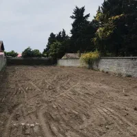 زمین-تک-برگ-سند-بر-اصلی-سنگاچین